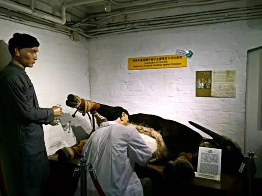 18.jpg 18.jpg
